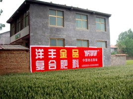  将乐如何让墙体广告展现最大化效果