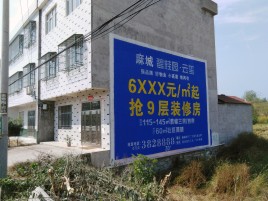  将乐墙体广告质量分析