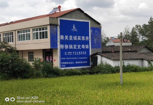 将乐决定墙体广告价格的因素有哪些?