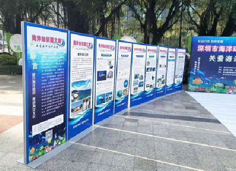  将乐KT板的种类和知识。